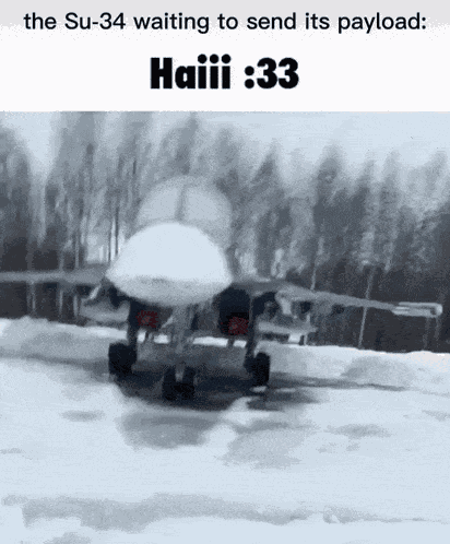 Su-34 Cute GIF