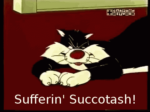 Suffering Succotash GIF