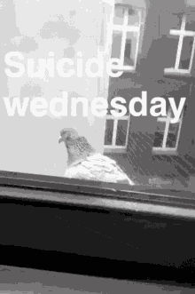 Suicide Thursday GIF