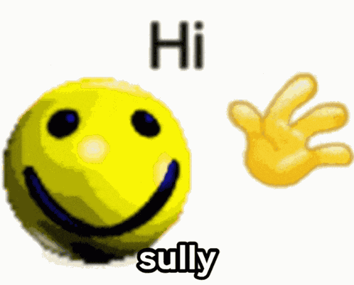 Sully Hi Sully GIF