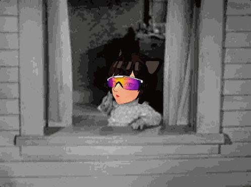 Sumi Sumicat GIF