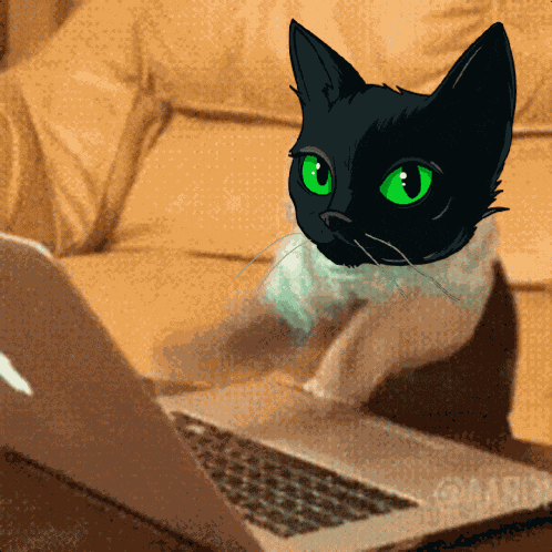 Sumi Sumicat GIF