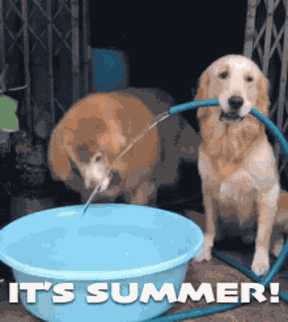 Summer Summertime GIF