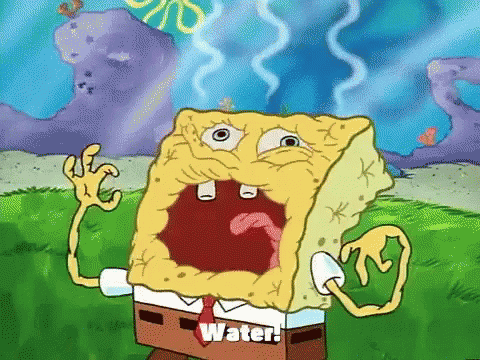 Summer Water GIF