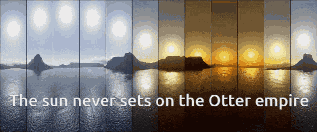 Sun Never Sets Otter Empire GIF