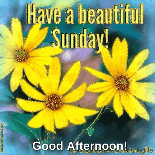 Sunday Afternoon GIF