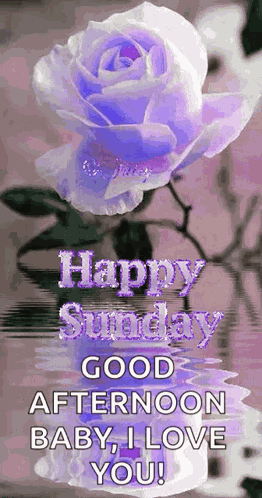 Sunday Blessings GIF