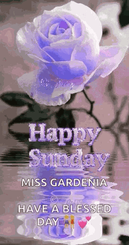 Sunday Blessings GIF