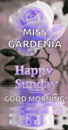 Sunday Blessings GIF