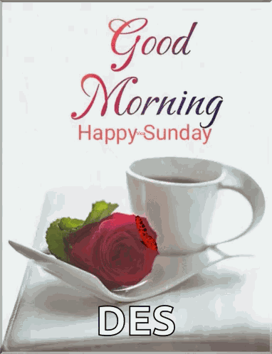 Sunday GIF