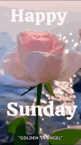 Sunday Good Morning Images Sunday Morning Blessings GIF