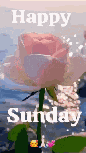Sunday Good Morning Images Sunday Morning Blessings GIF