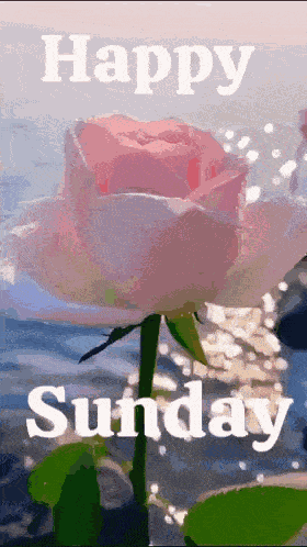 Sunday Good Morning Images Sunday Morning Blessings GIF