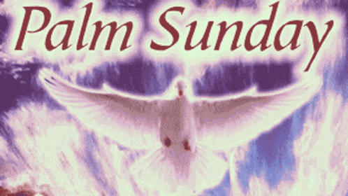 Sunday Happy GIF