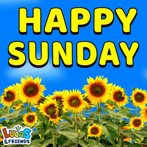 Sunday Happy Sunday GIF