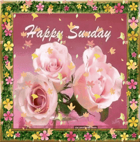 Sunday Happy Sunday GIF