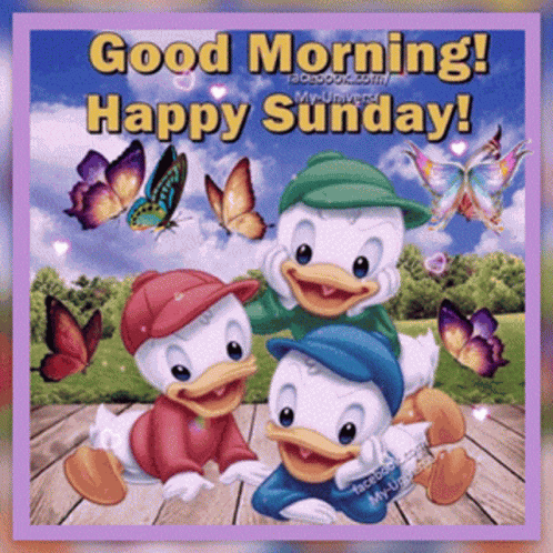 Sunday Happy GIF