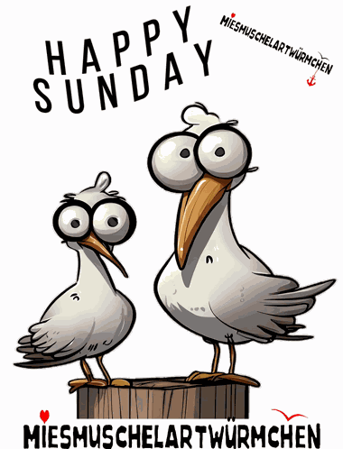 Sunday Sunday Funday GIF