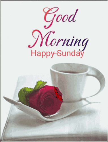 Sunday GIF