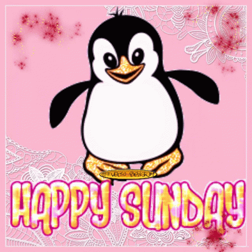 Sunday Vec50 GIF