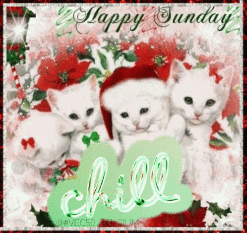Sunday Vec50 GIF