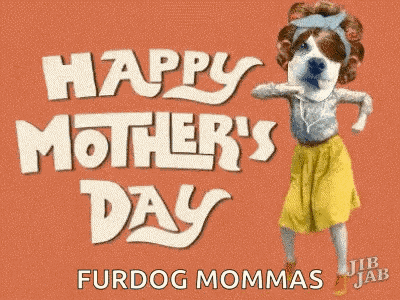 Sundaybrunch Diadelasmadres GIF
