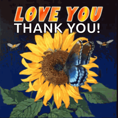 Sunflower Flowers GIF