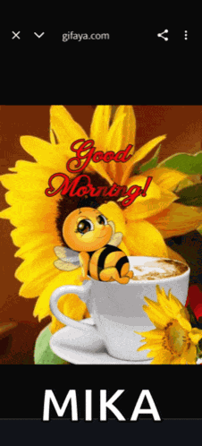 Sunflower Message Meme