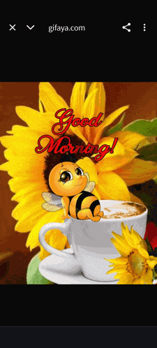 Sunflower Message Meme