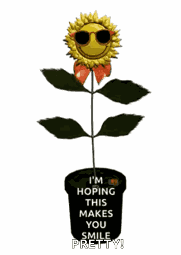 Sunflower GIF