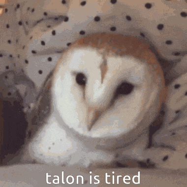 Sunlaces Court Of Owls GIF
