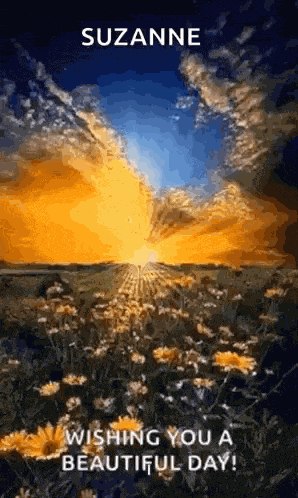 Sunrise Wishingyouabeautifulday GIF