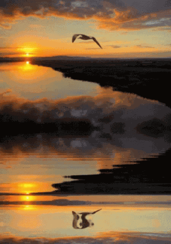 Sunset Aesthetic GIF