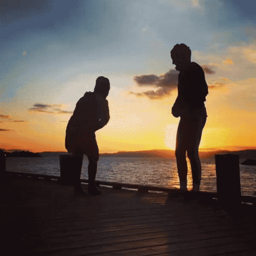Sunset Friends GIF