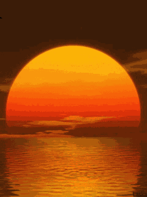 Sunset Kiss GIF