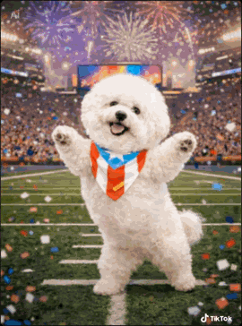 Super Bowl Super Bowl Party GIF