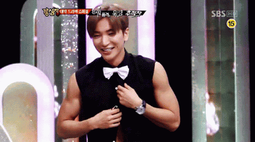 Super Junior Elf GIF