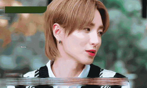 Super Junior Leeteuk GIF