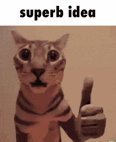 Superb Idea Cat GIF