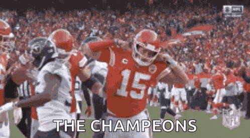 Superbowl 49ers GIF
