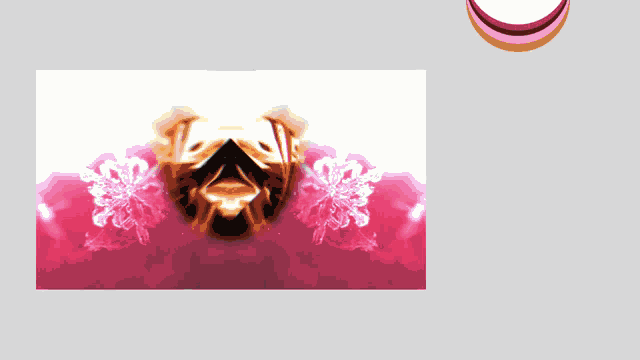 Supernovacane Supercovakane Quetrea Music GIF