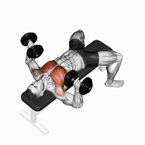 Supino Reto GIF