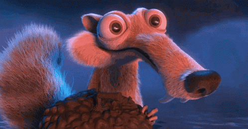 Suqirrel Cartoon GIF