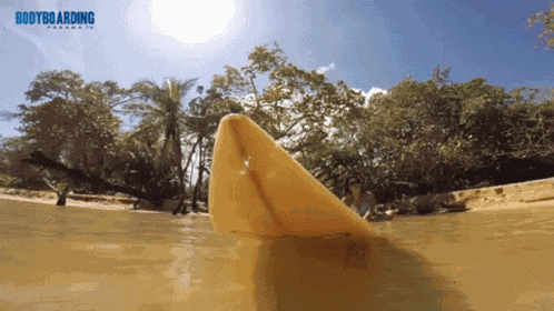 Surfboard Surf Boarding GIF