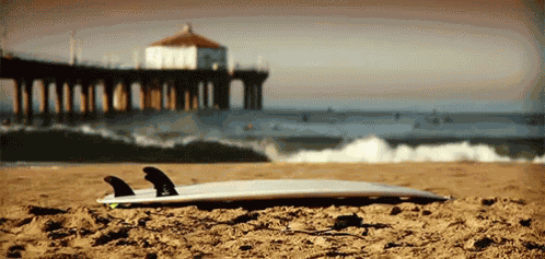 Surfboard...Surfboard... GIF