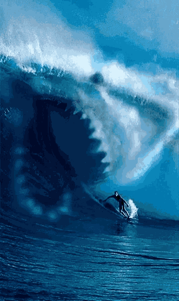 Surfing Ocean GIF