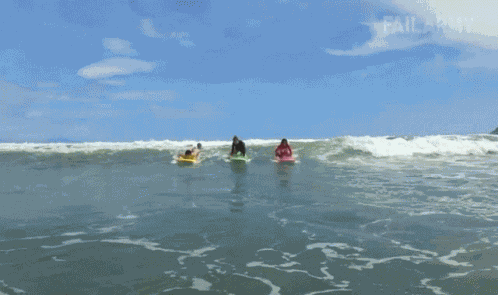 Surfing Riding GIF