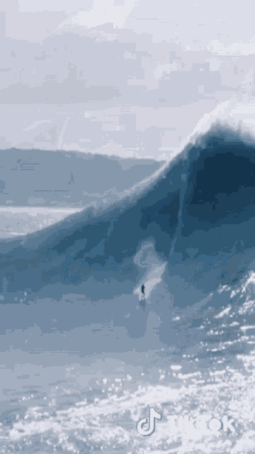 Surfing Surfer GIF