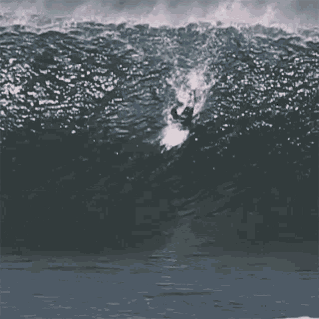 Surfista Caindo Flamboiar GIF