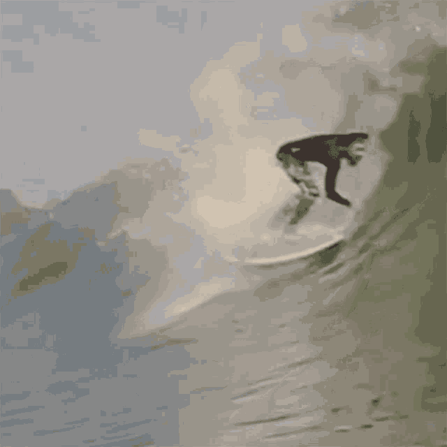 Surfista Caindo Flamboiar GIF